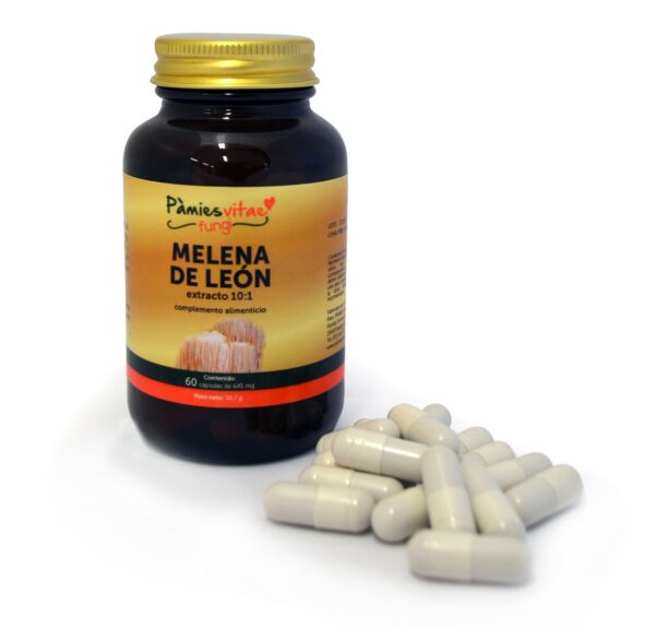 Melena de León PV (60 cápsulas)